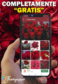 Captura 2 Flores y Rosas Rojas imágenes  android