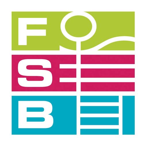 FSB 2023.1.0 Icon