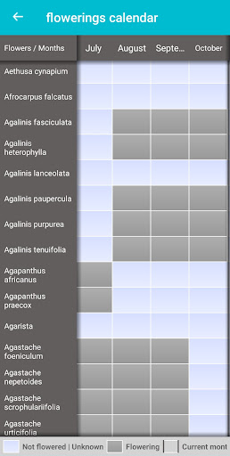 Plant and Flower Identification