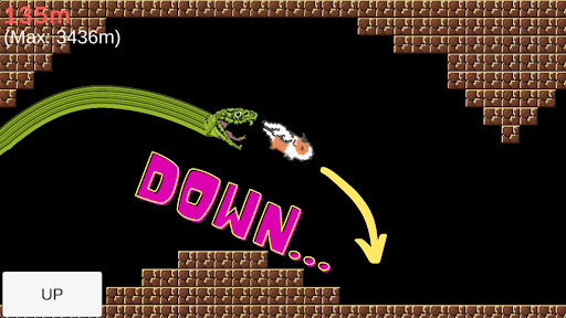 Guinea Pig Dragon Go Escape