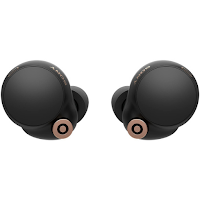 Sony WF-1000XM4 guide