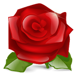Rose 3D live wallpaper icon