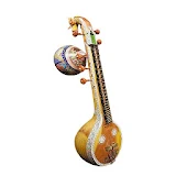 Indian Musical Instruments icon