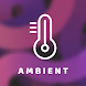 Ambient Temperature Check