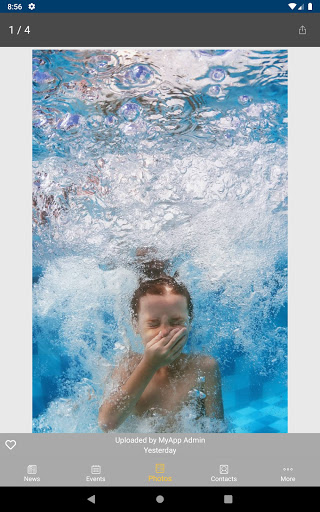 Poly Summer Brooklyn