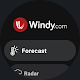 screenshot of Windy.com - Weather Forecast
