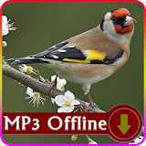 Masteran Suara burung Goldfinch Offline icon