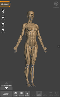 Anatomie 3D pour artiste Capture d'écran