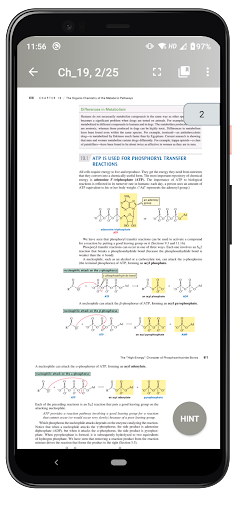 ESSENTIAL ORGANIC CHEMISTRY