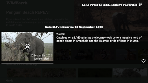 WildEarth for Android TV Screen 2
