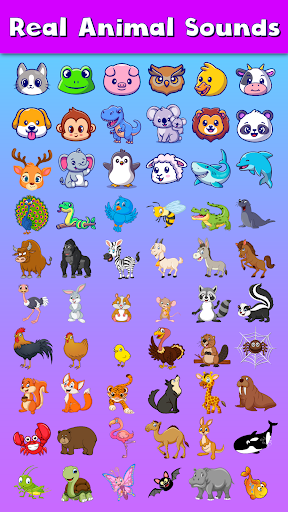 Animal Sounds Screen 3