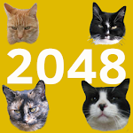 2048 Cats Apk