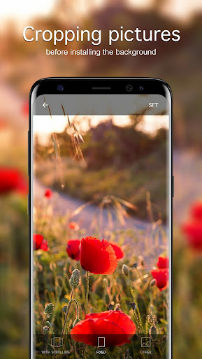 Screenshot of Poppy Wallpapers PRO