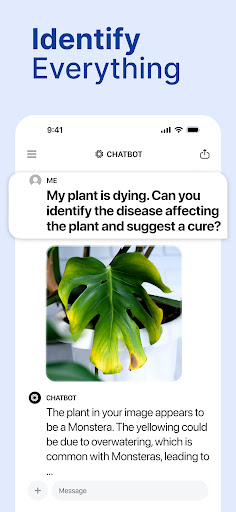 Chatbot_22