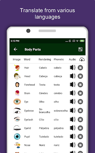 Sao Paulo Travel and Explore Of