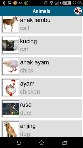 Screenshot of Learn Indonesian