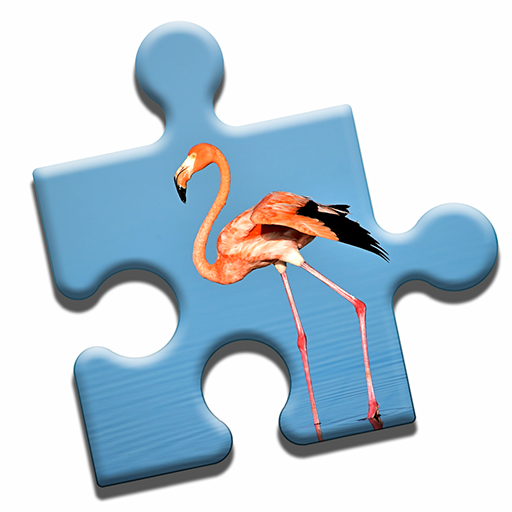 Florida Jigsaw Puzzle logo