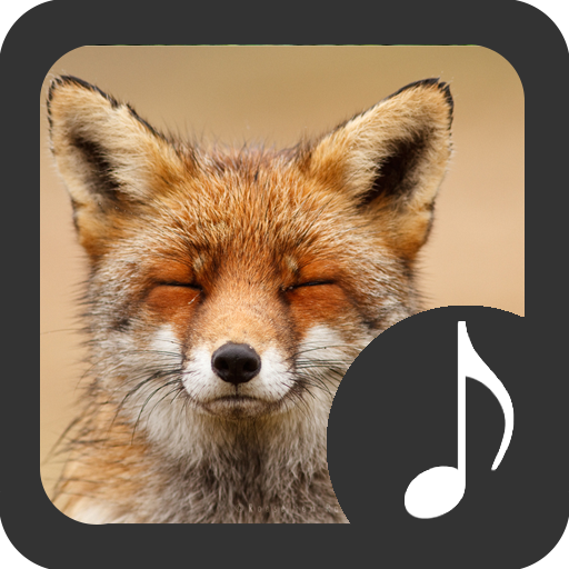 Fox Sounds
