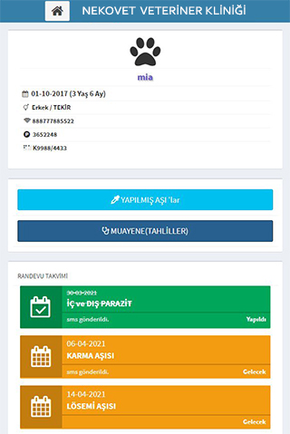 Nekovet Veteriner Kliniği Screen 3