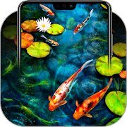Top 27 Entertainment Apps Like Koi Fish Wallpapers - Best Alternatives