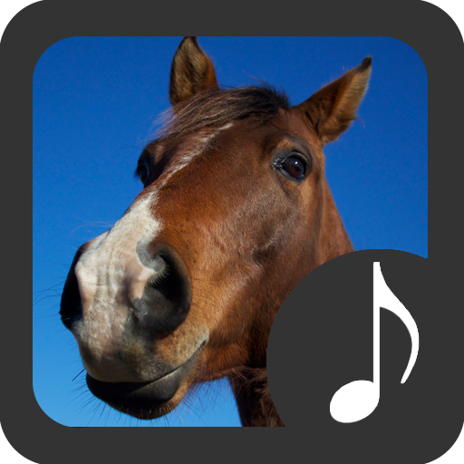Топот лошадей звук. Звук лошади. Аудио голоса лошади. Звук коня WAV. Звуки лошади на английском.