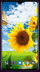 Captura 1 Sunflower Wallpaper android