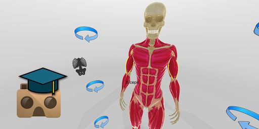 Anatomy VR