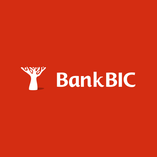 Bank BIC NA Limited logo