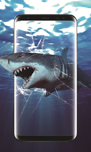 3d Shark In The Oceanビデオライブ壁紙無料 By Free Live Wallpaper Google Play Japan Searchman App Data Information