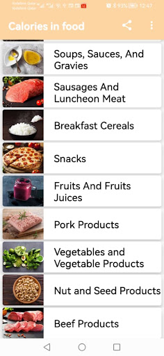 Calories in food Screen 2