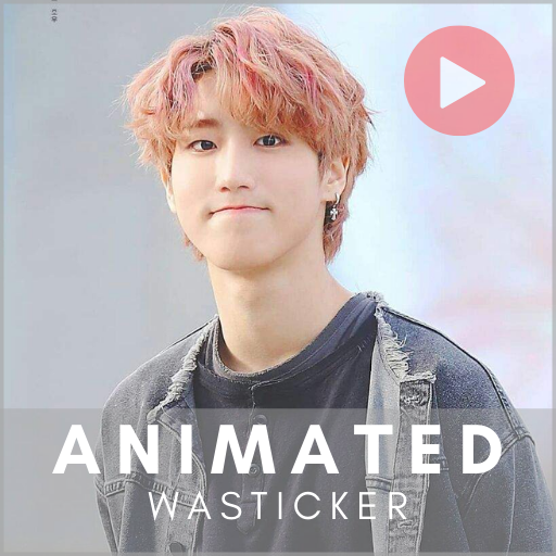 Han SKZ Animated WASticker Download on Windows