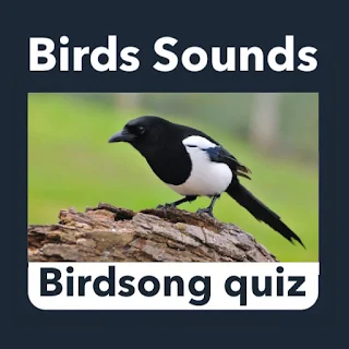 Birds Sounds: Birdsong Offline