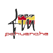 Top 19 Music & Audio Apps Like FM Pehuenche 98.9 - Best Alternatives