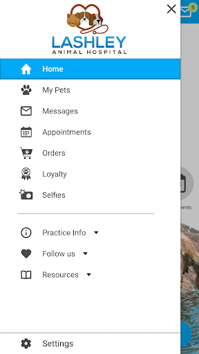 Lashley Animal Hospital Screenshot