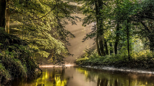 Sunbeam Wallpaper HD ☀️