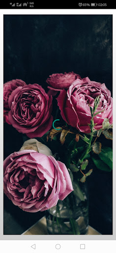 pink wallpaper aesthetic Screen 3
