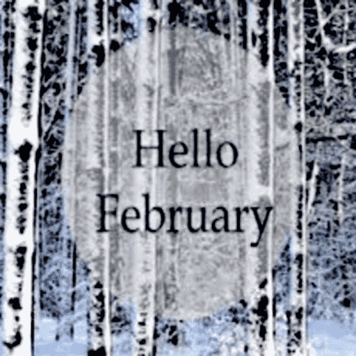 February images logo