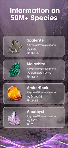 Rock Identifier: 3D Stone ID screenshot 3