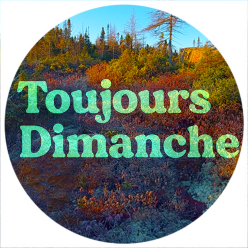 Toujours Dimanche logo