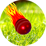 Cricket Highlights icon
