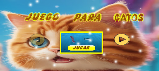 Vista previa de la aplicación