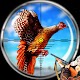 Pheasant Bird Hunting: Wings Sniper Shooting 2018 Scarica su Windows