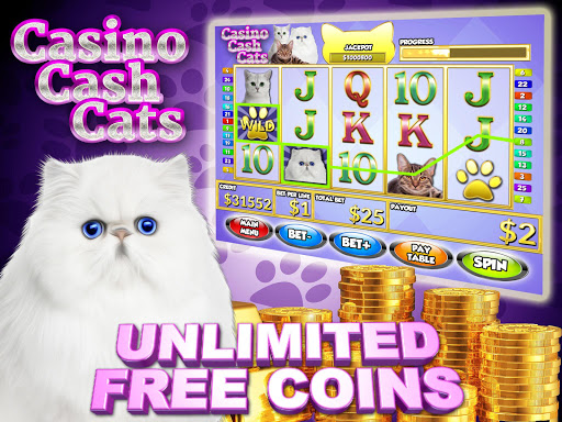 Coloque algum dinheiro no gatinho com Cats and Cash!