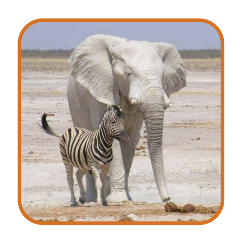 Safari List - Southern Africa 1.40.00 Icon