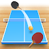 Ping Pong Fury application
