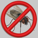 Anti Flies icon