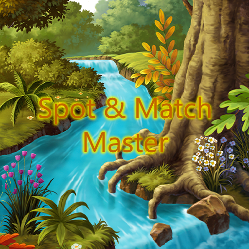 Spot & Match Master