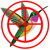 Flying Bird Hunting Games icon
