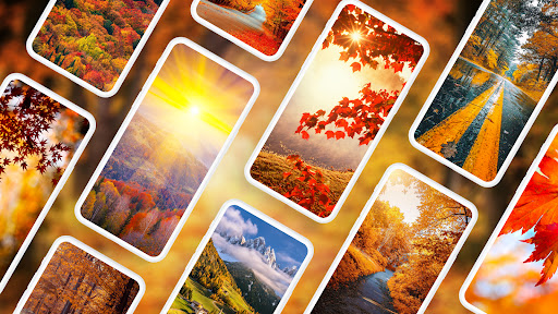 Autumn Wallpapers 4K 5.6.22 screenshots 1