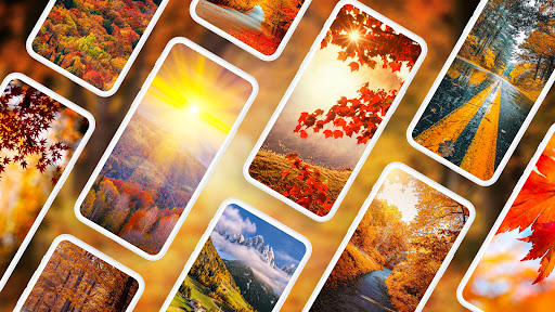 Android application Autumn Wallpapers 4K screenshort
